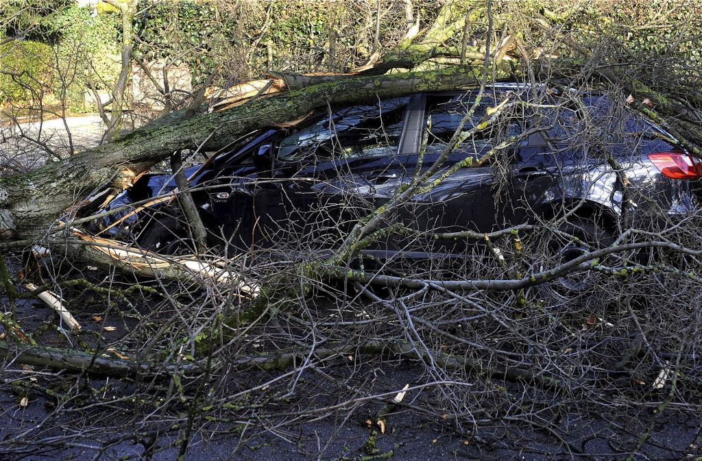 Ein Auto ist am Donnerstag unter einem durch den Sturm umgestürzten Baum in München begraben. Der 25 Meter hohe Baum war am Morgen durch Sturmböen umgestürzt. Verletzt wurde niemand.