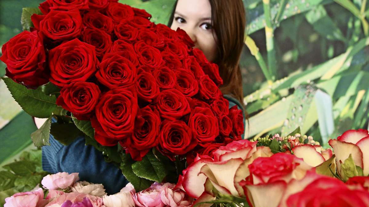 Blumen zum Valentinstag: Die roten Rosen sind rar