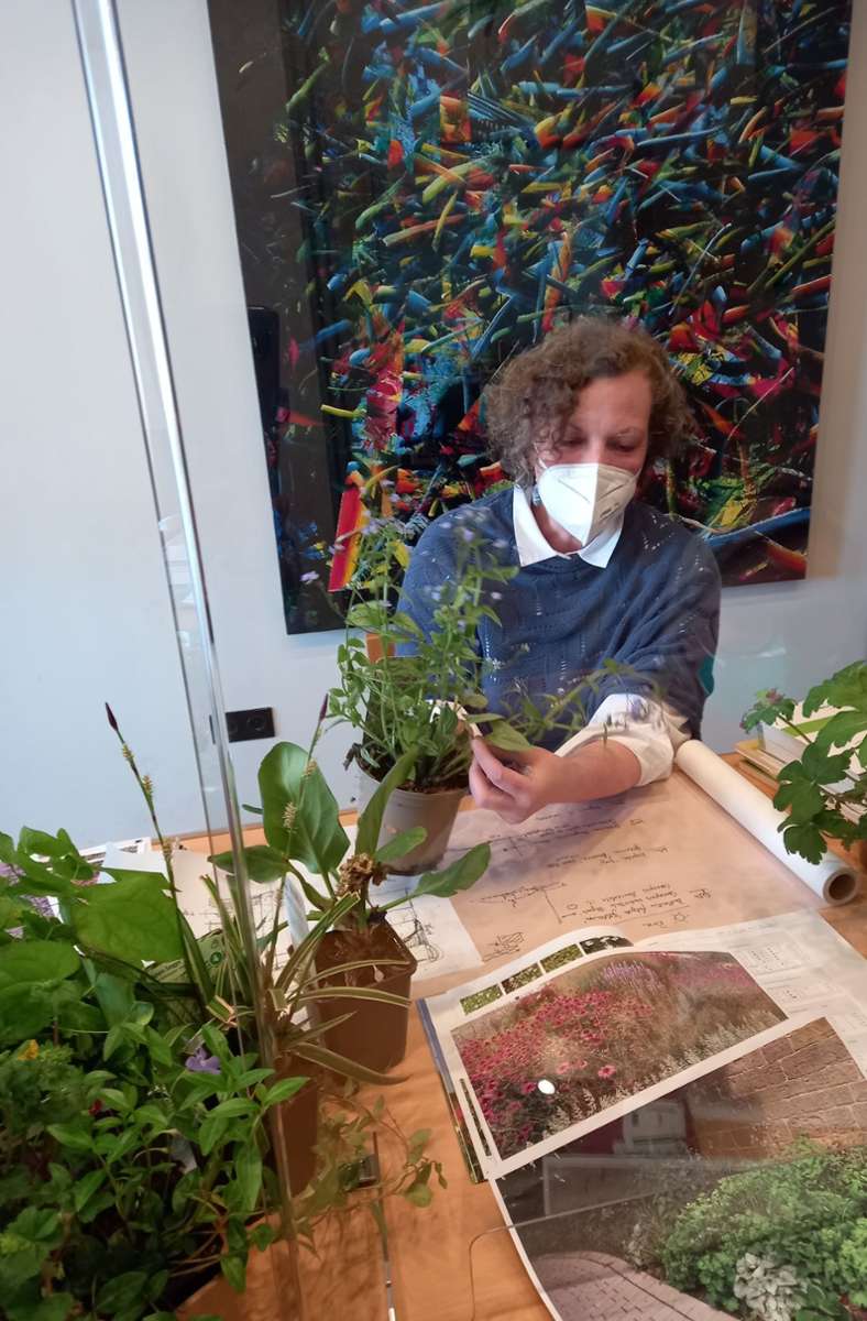 Expertin Christiane Meßner hat Pflanzen bei der Beratung dabei.