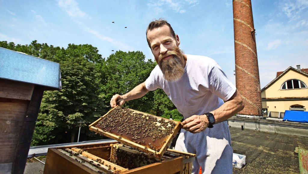 Bienen in Esslingen: Komma bekommt seinen eigenen Honig