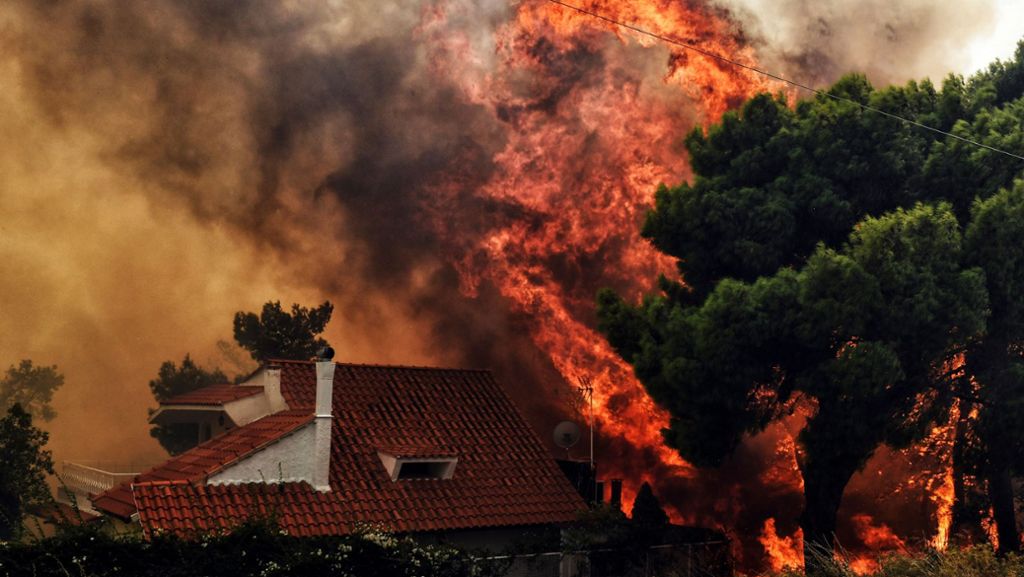 Waldbrände in Griechenland: Behörden vermuten Brandstiftung