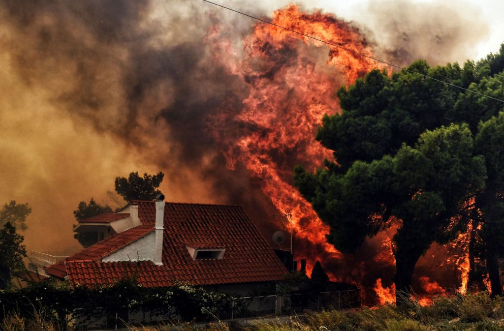 Die Waldbrände in Griechenland sind möglicherweise auf Brandstiftung zurückzuführen.