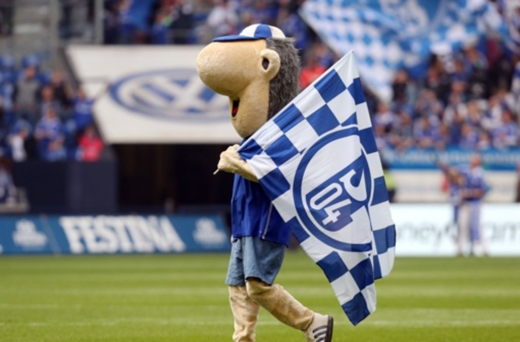 Im Gegensatz zu den meisten anderen Maskottchen ist Erwin kein Tier. Seit 20 Jahren feuert er den FC Schalke 04 an.