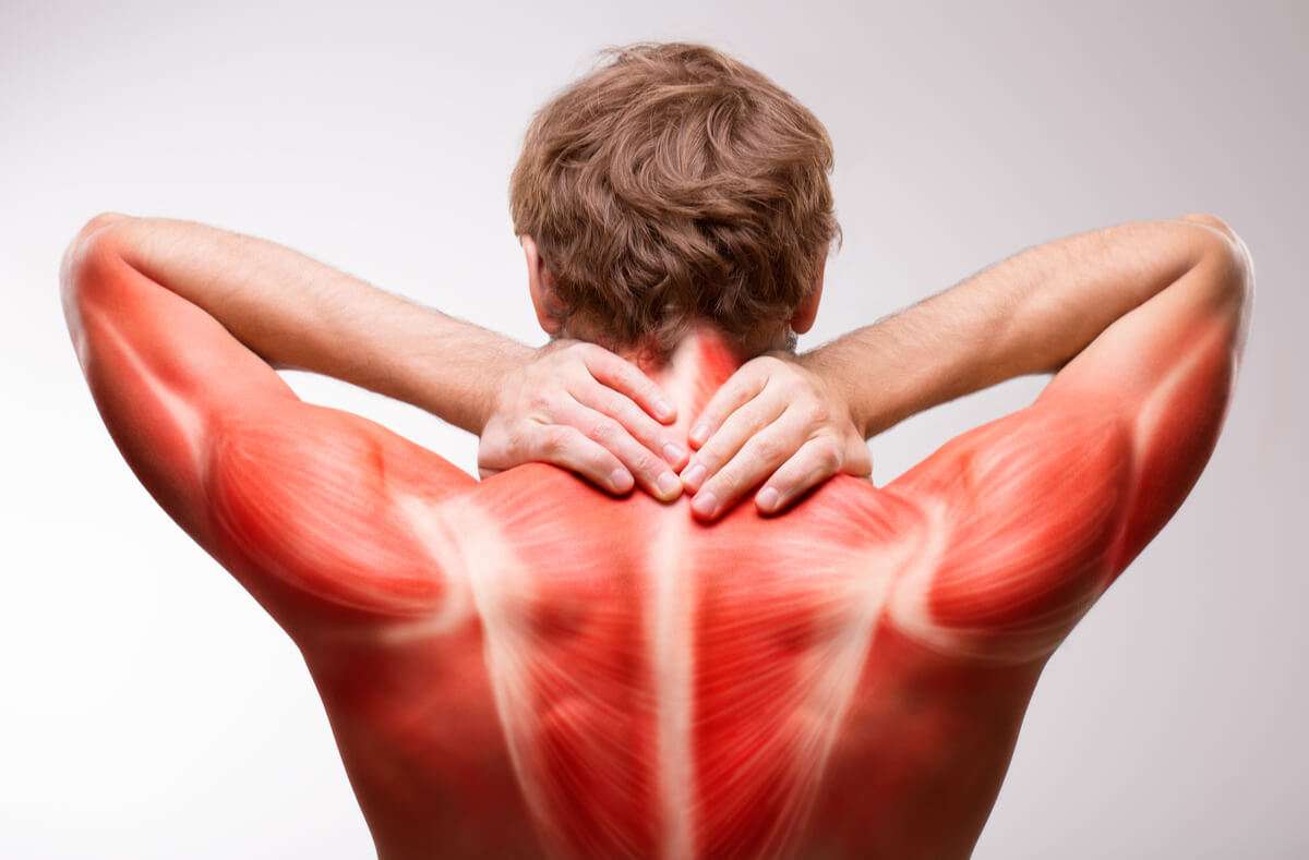 Erfahren Sie alles über die Ursachen von Muskelkater, was dagegen hilft und wie Sie Muskelkater vorbeugen.