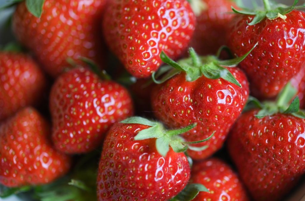 Erdbeeren – der perfekte, leichte Snack. Ein einfacher Weg, um den Stiel zu entfernen, ist ein ganz normaler Strohhalm.Hack Nummer drei: Den Strohhalm vom spitzeren Ende, also dem unteren Teil der Erdbeere aus, nach oben durchziehen. Der Stiel wird mit dem Strohhalm zusammen nach oben gedrückt.