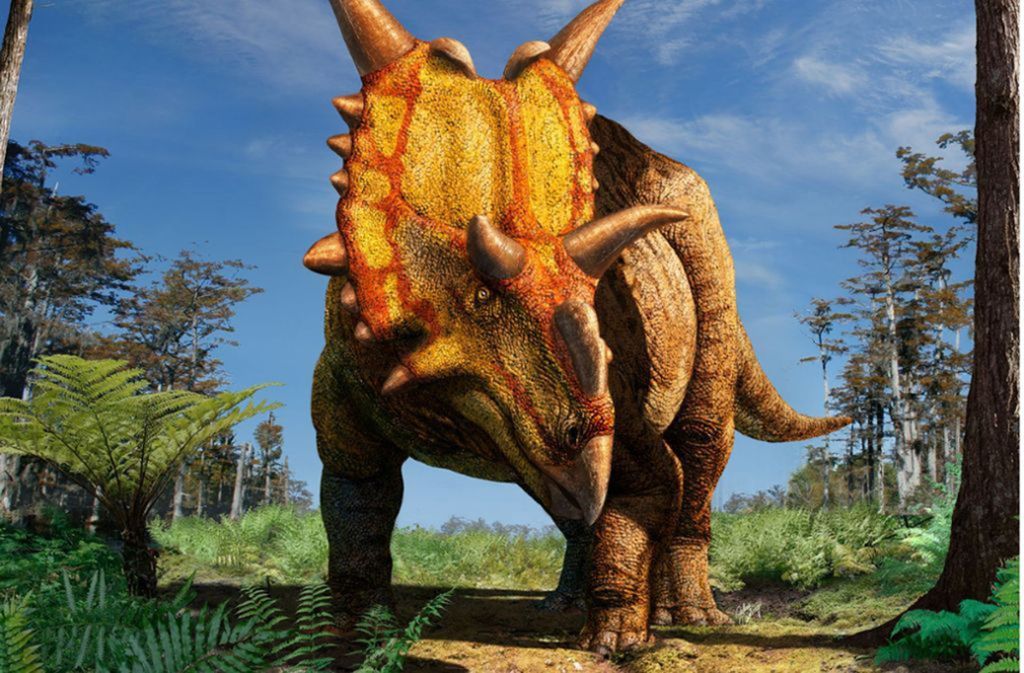 Das Handout zeigt einen Xenoceratops.