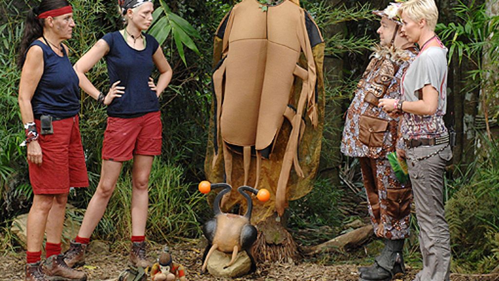 RTL-Programm: Bauer sucht Frau im Dschungel