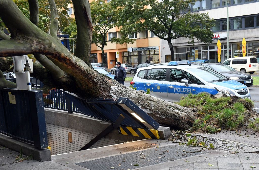 Vielerorts hat der Sturm Bäume entwurzelt.