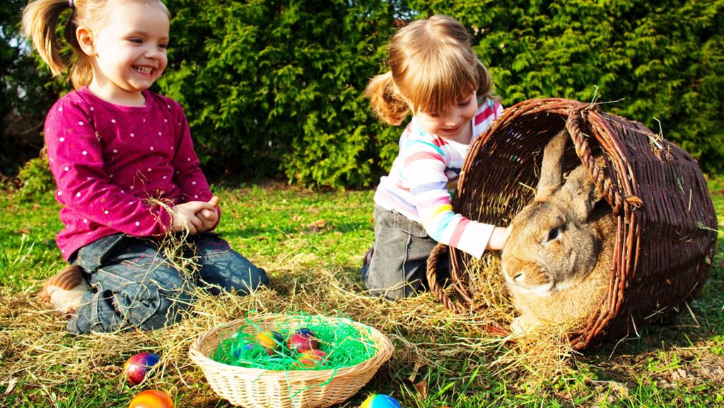 Was Stuttgarter Ärzte raten: „Darf ich Ostern mit meiner Familie feiern?“