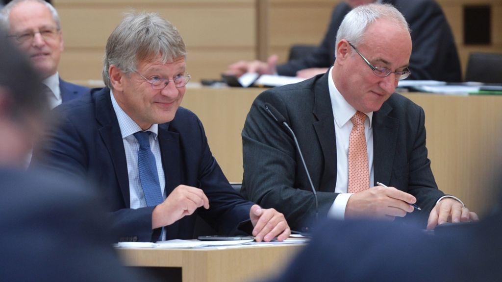 Kommentar zur Wiedervereinigung: Landtags-AfD erhält eine zweite Chance