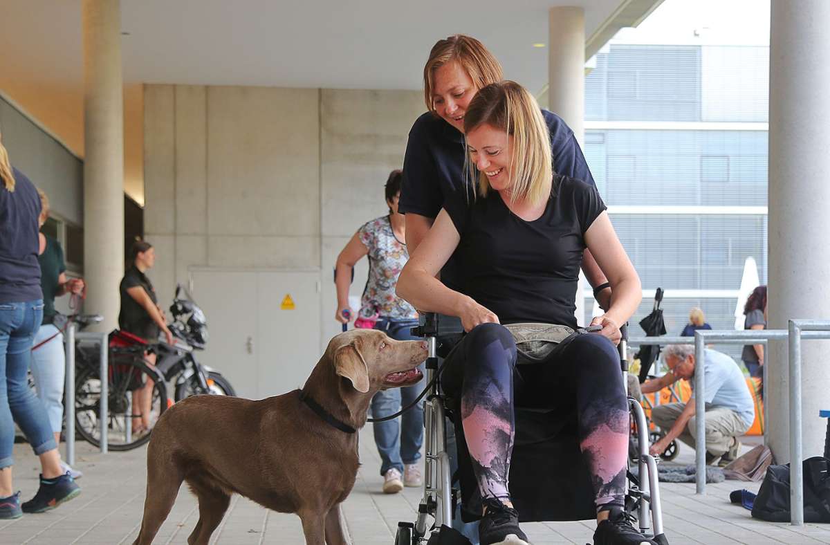 Auch ein Rollstuhl bietet für Hunde so manche Herausforderung.