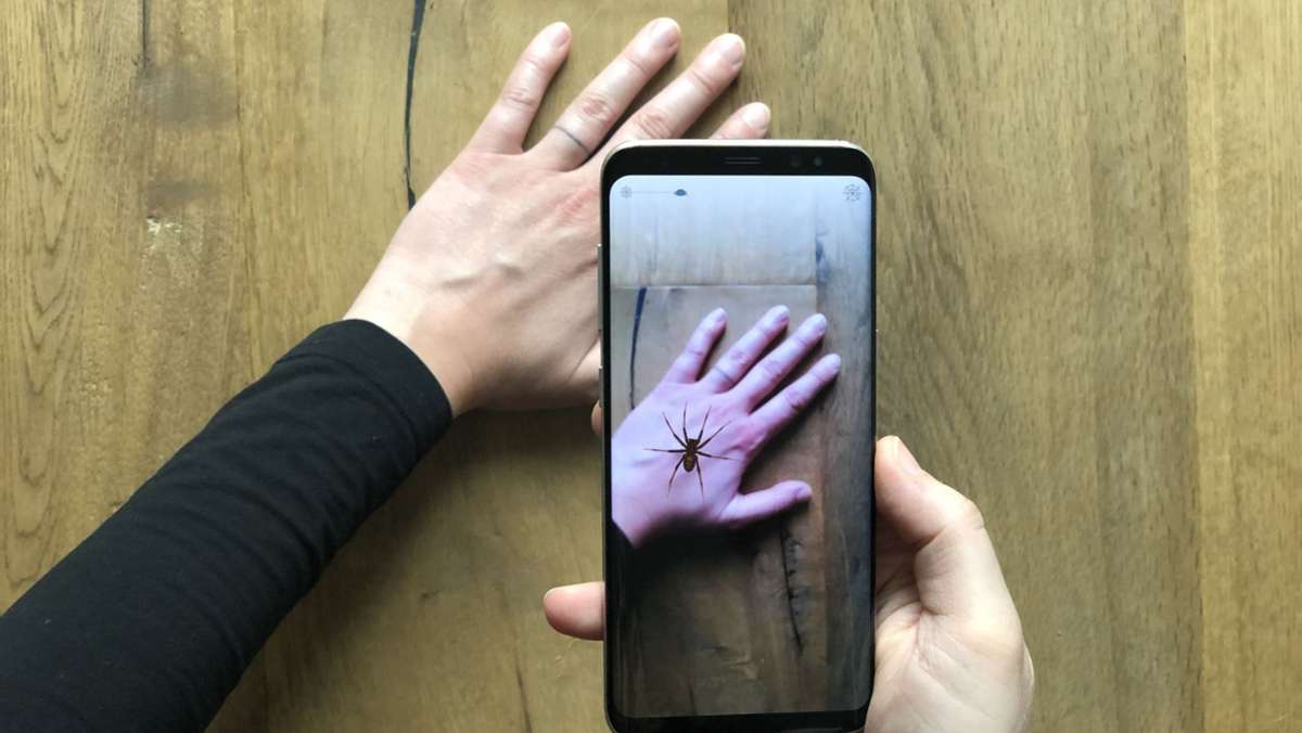 App Phobys gegen Arachnophobie: Die Angst vor Spinnen virtuell bekämpfen