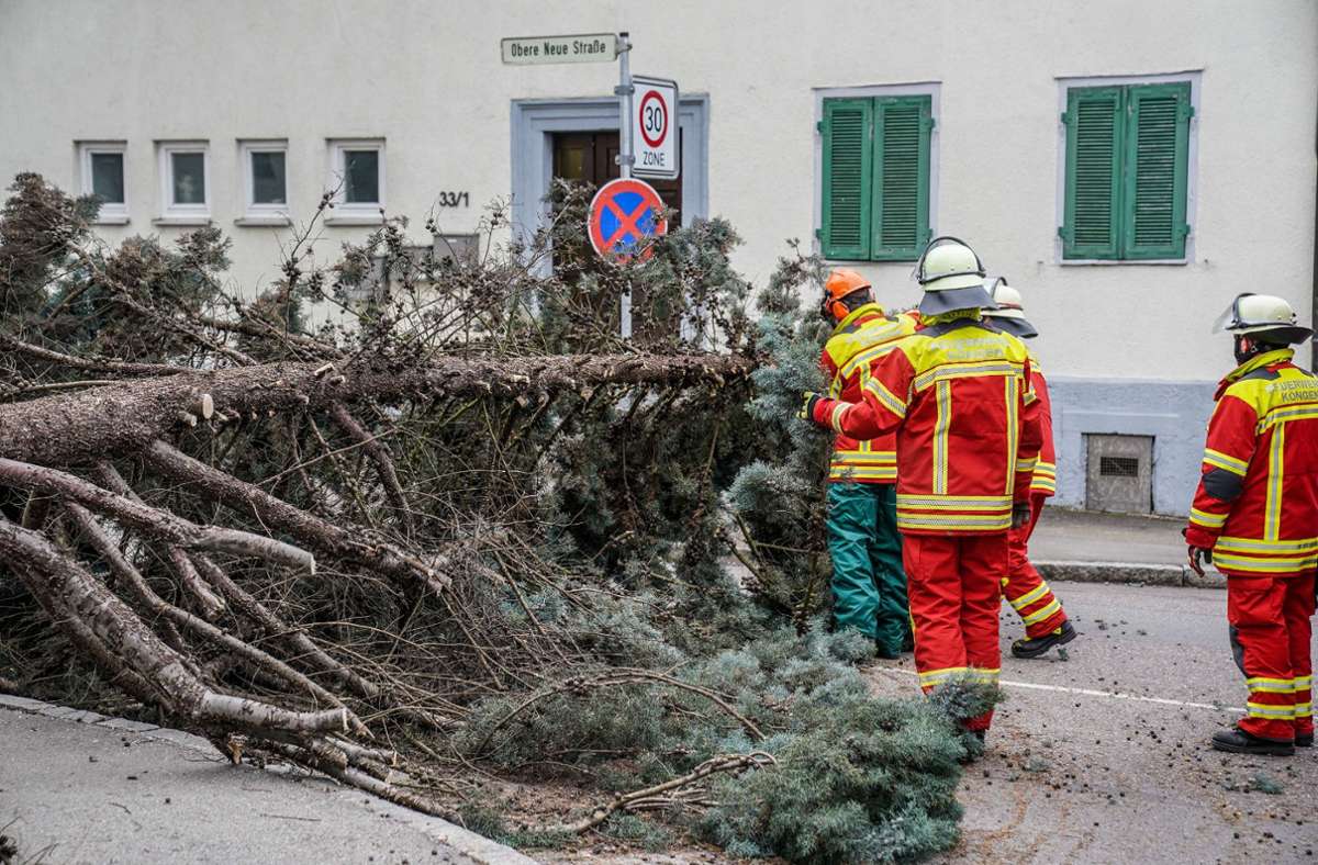 Auch im Kreis Esslingen musste die Feuerwehr wegen umgestürzter Bäume ausrücken, ...