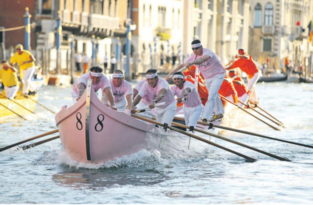 In Sechserbooten treten die Gemeinden Venedigs gegeneinander an: Hier die rosarote Nummer Acht.