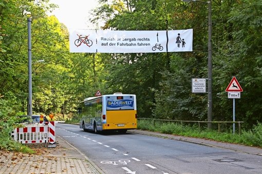Die Busfahrer haben den Radfahrbeauftragten auf das Problem mit den Geisterfahrern im Elsental aufmerksam gemacht. Foto: Alexandra Kratz