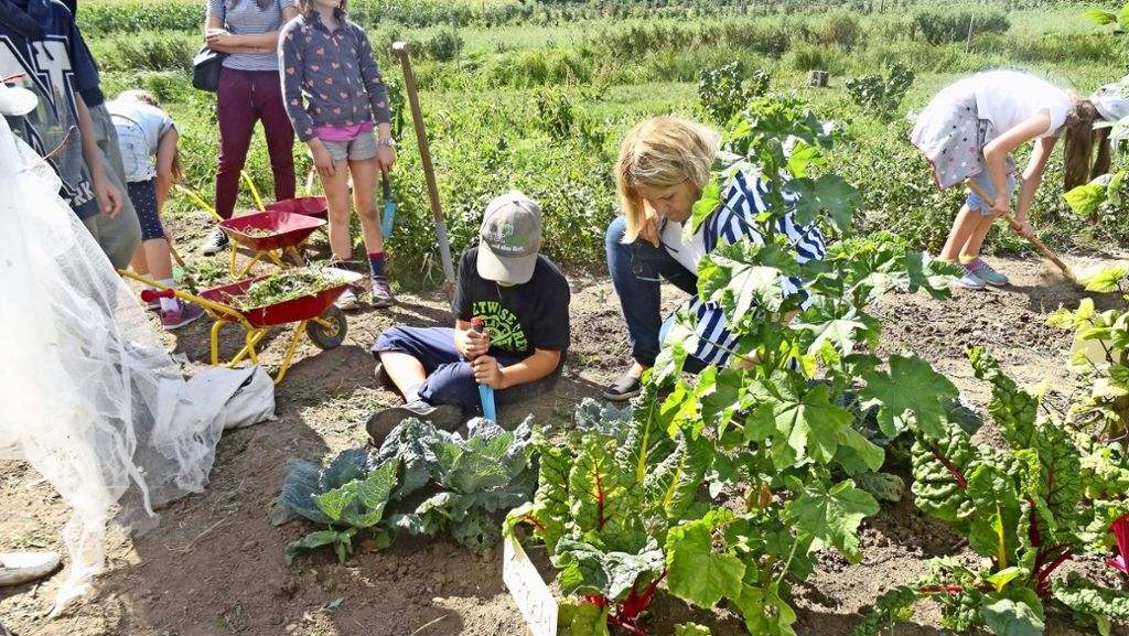  Schüler des Ganztagesprogramms der Körschtalschule aus Stuttgart-Plieningen pflanzen im Rahmen ihres Ferienprogramms Gemüse an – auf dem Reyerhof in Stuttgart-Möhringen. Dabei gibt es immer wieder Überraschungen. 