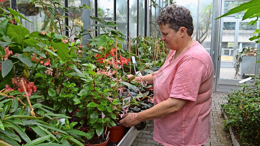  Mehr als nur Professoren: An den Universitäten von Vaihingen und Hohenheim gibt es unzählige Berufe. In den Gewächshäusern an der Uni Hohenheim kümmern sich Gärtnermeister um seltene Pflanzen. 
