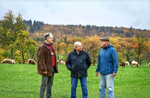 Dieter Ackermann  und seine Mitstreiter Joachim Taxis  und Hermann Lang (von links) haben für das Areal    beim  Rotenberg große Pläne. Foto: Simon Granville