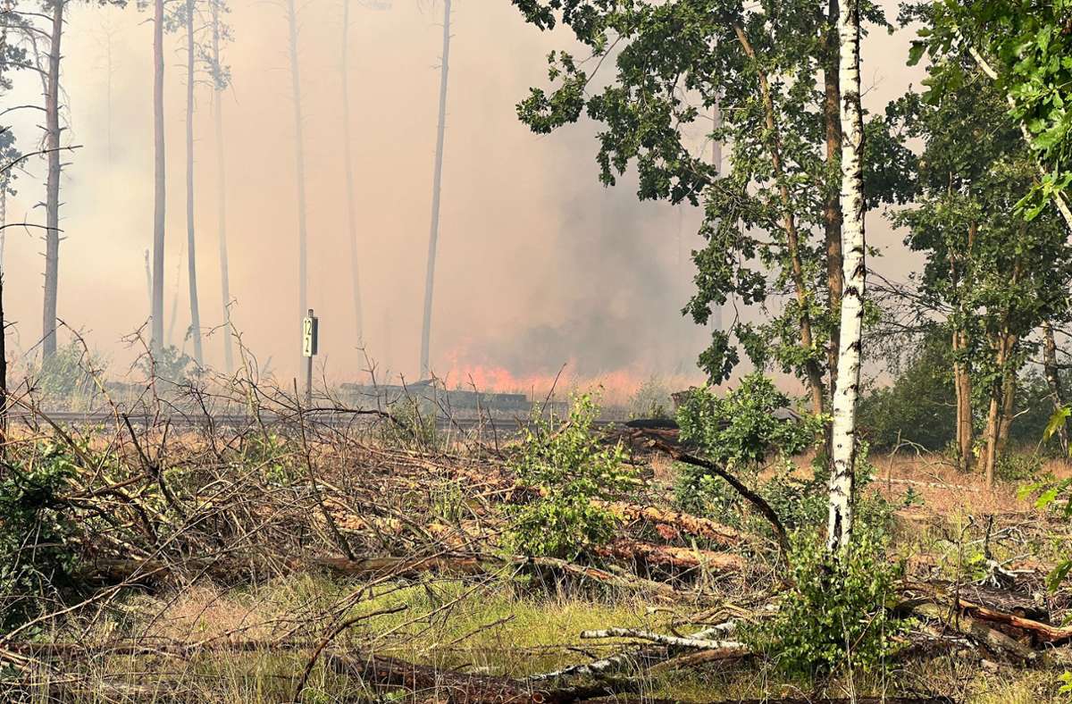 Brandenburg, Treuenbrietzen: Flammen sind auf einem Waldstück bei einem Waldbrand zu sehen.