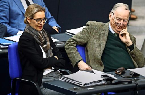 Die Fraktionschefs Alice Weidel und Alexander Gauland im Bundestag – für den Aufschwung der AfD müssen sie gar nicht  viel tun. Foto: dpa