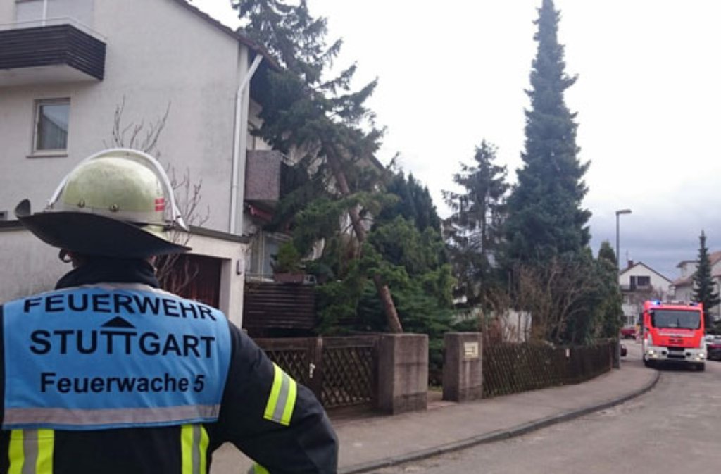 In Stuttgart-Möhringen kippte ein gewaltiger Nadelbaum auf ein Haus.