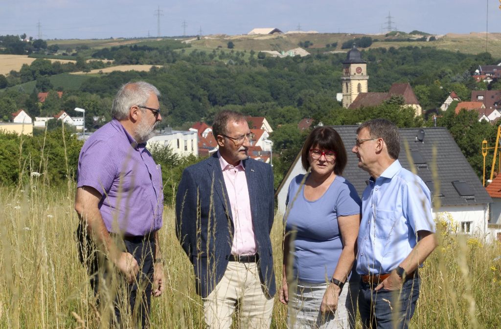 Die Vertreter der IG (von links):Wolfgang Appel, Erwin Wild, Sibylle Appel und Dierk-Christian Vogt. Im Hintergrund sieht man die Schwieberdinger Deponie. Foto: factum/Granville