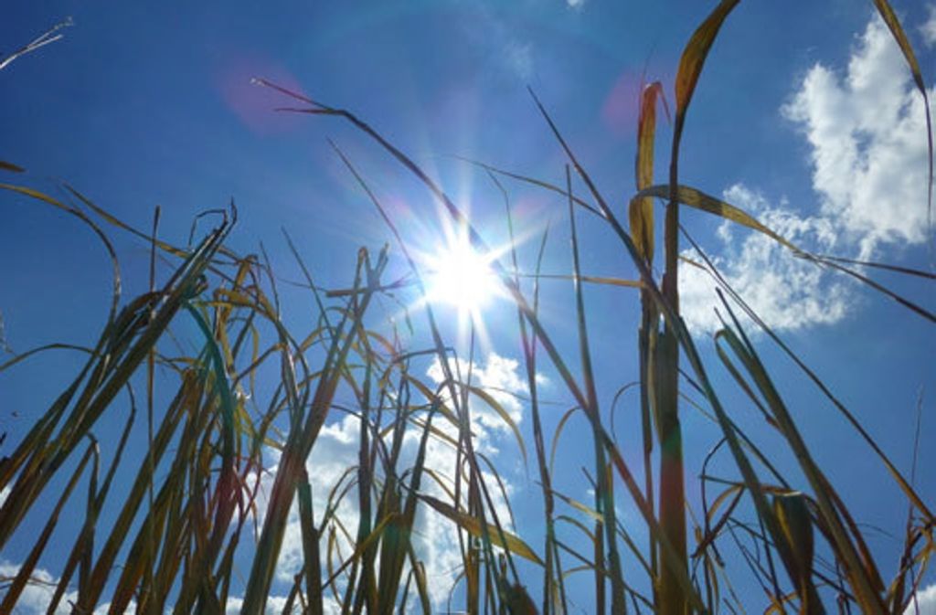 Der Sommer Kommt Zuruck An Die 30 Grad Sind In Stuttgart Drin