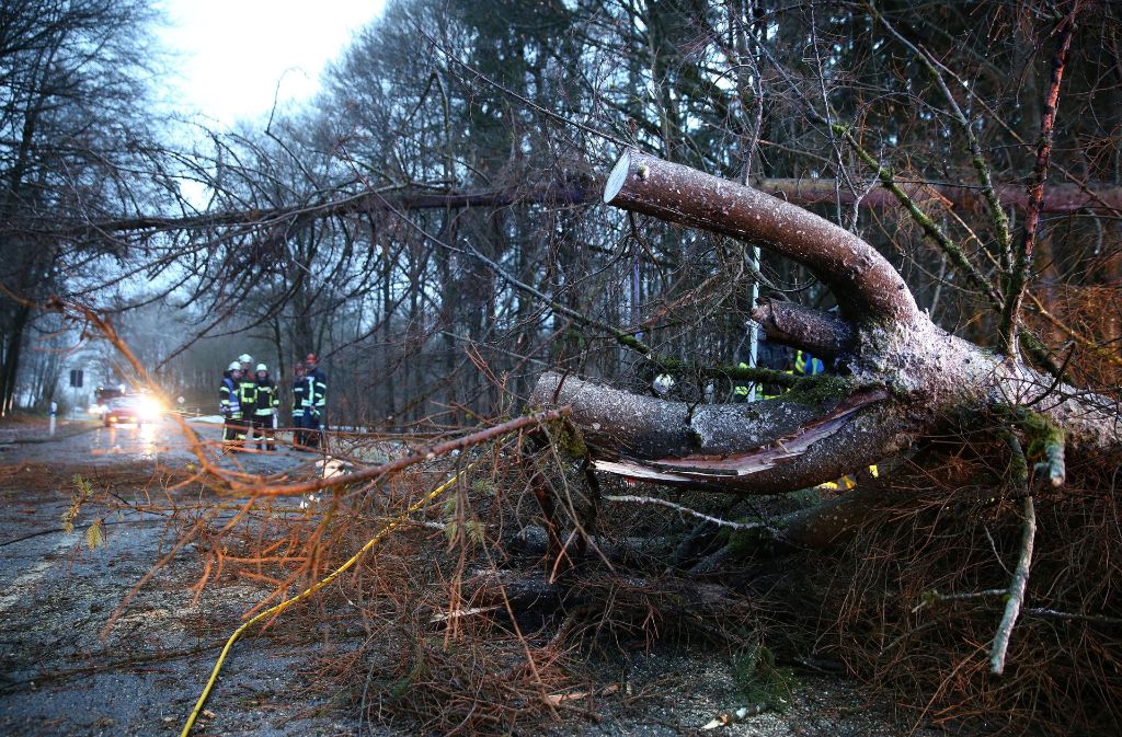 Mitarbeiter der Feuerwehr stehen am 14.12.2017 in einem Waldgebiet bei Bad Saulgau (Baden-Württemberg). Bei Bergungsarbeiten von umgestürzten Bäumen wurde ein Feuerwehrmann schwer verletzt.