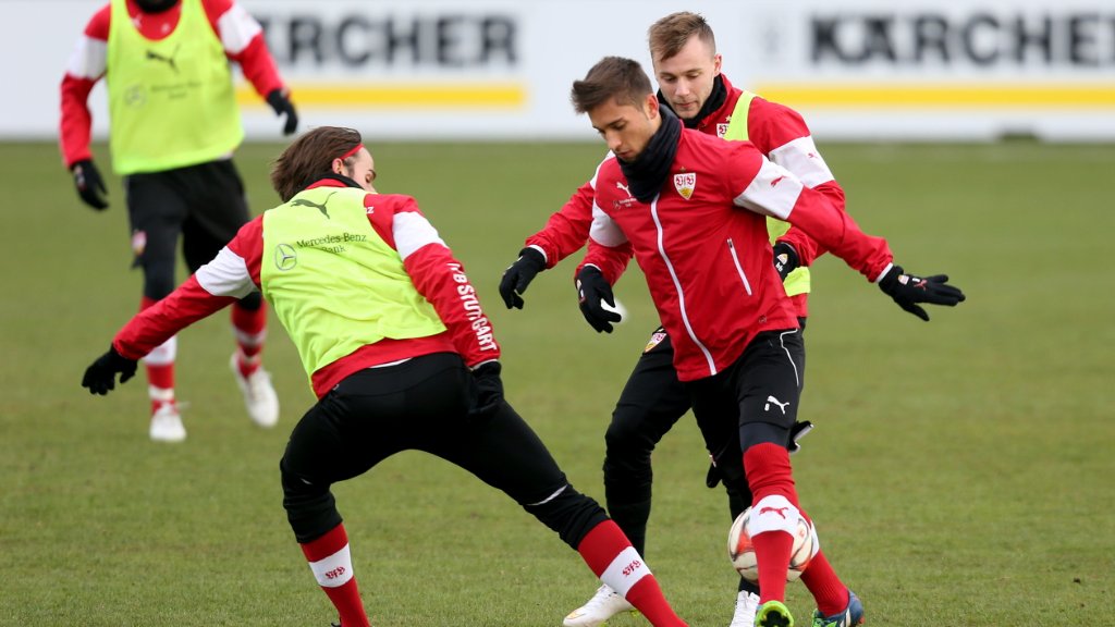 VfB Stuttgart: Stevens sucht den Rüdiger-Ersatz