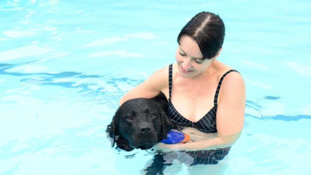 Hundebadetag in Korb: Zum Saisonabschluss darf Bello baden gehen