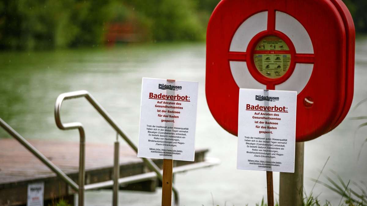 Blaualgen in Plüderhausen: Bis auf Weiteres kein Badespaß im See