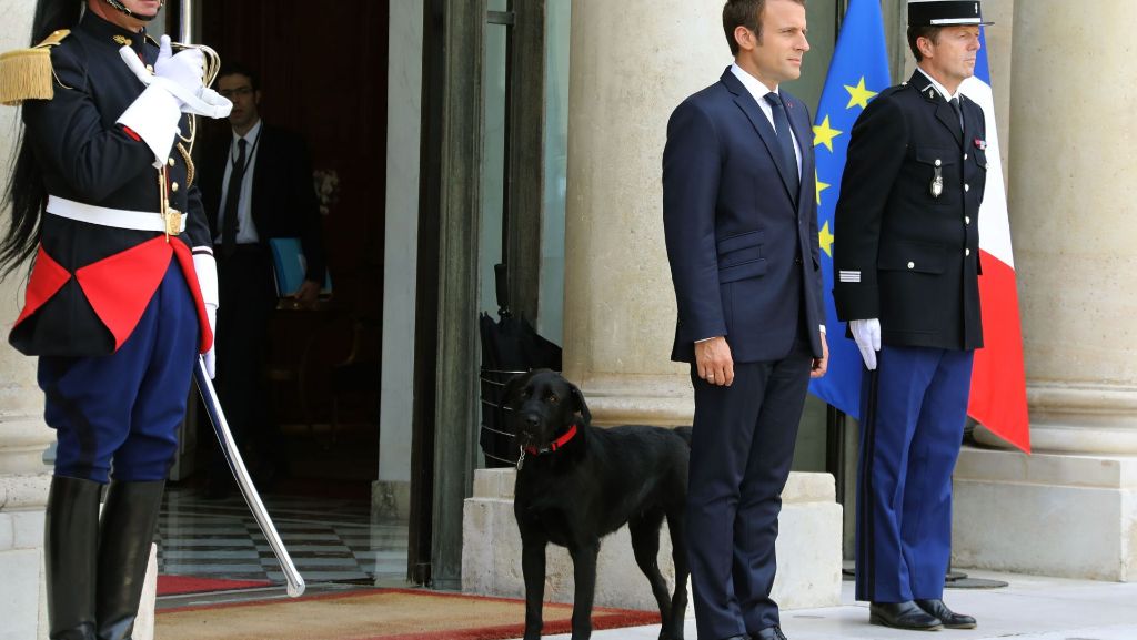 Emmanuel Macron: Frankreichs Präsident adoptiert Hund „Nemo“