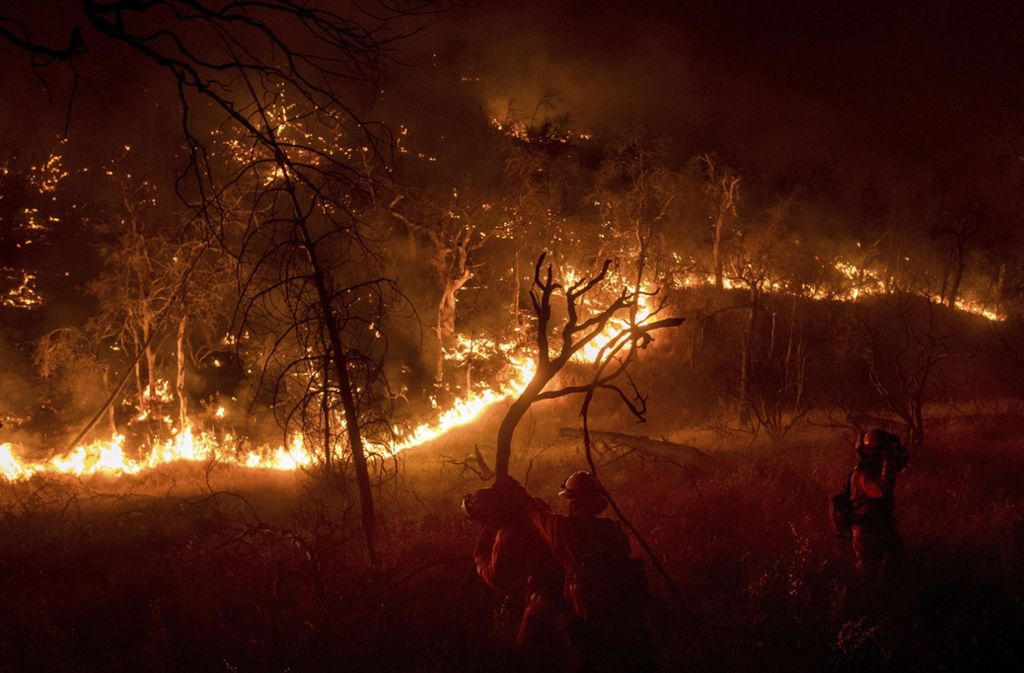 Das Feuer zerstört Zehntausende Hektar Wald.