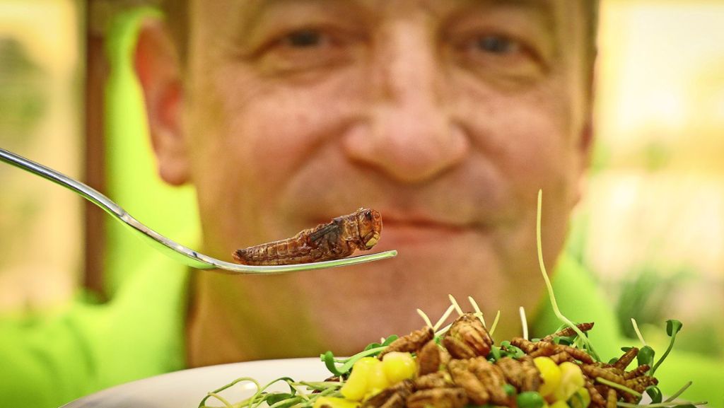  Darf’s noch etwas Wurm sein? Insekten werden als Lebensmittel immer beliebter. Ein Wirt aus Ludwigsburg bietet statt Croûtons auch die gerösteten Krabbler in seiner Salatbar an. 