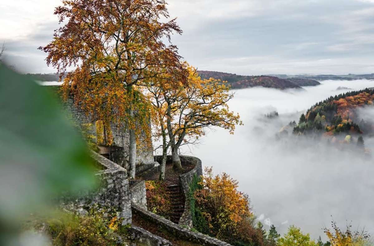 Die bunten Bäume auf einer alten Burgruine gepaart mit morgendlichem Nebel im Lautertal hat Nico Goller fotografisch eingefangen.