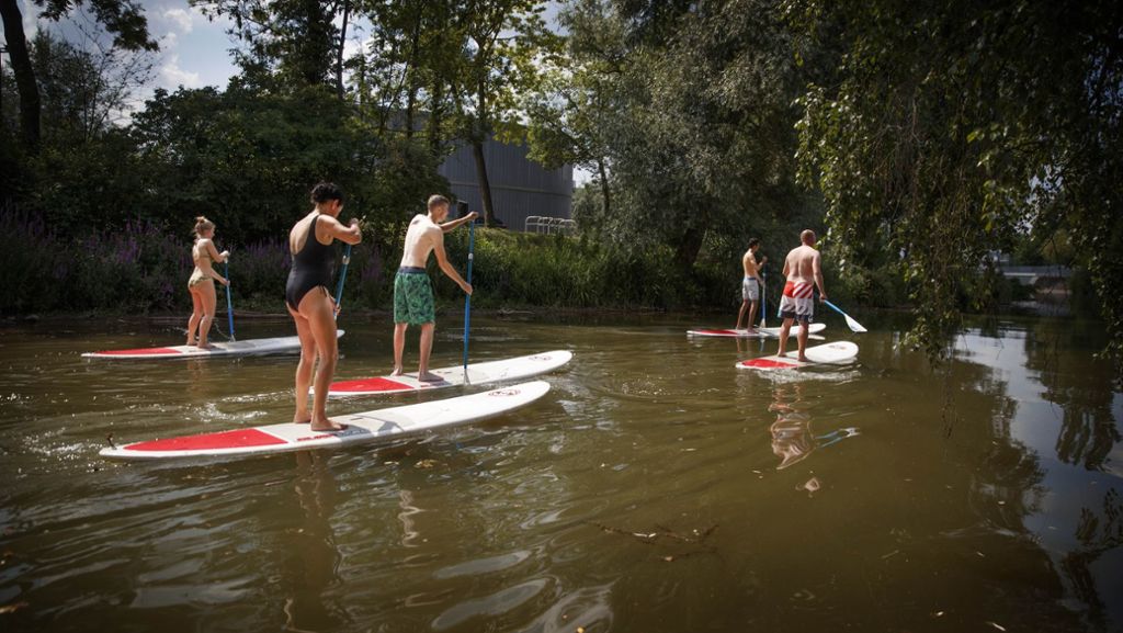 Stand-up-Paddling auf der Rems: Stand-up-Paddling muss kein Reinfall sein