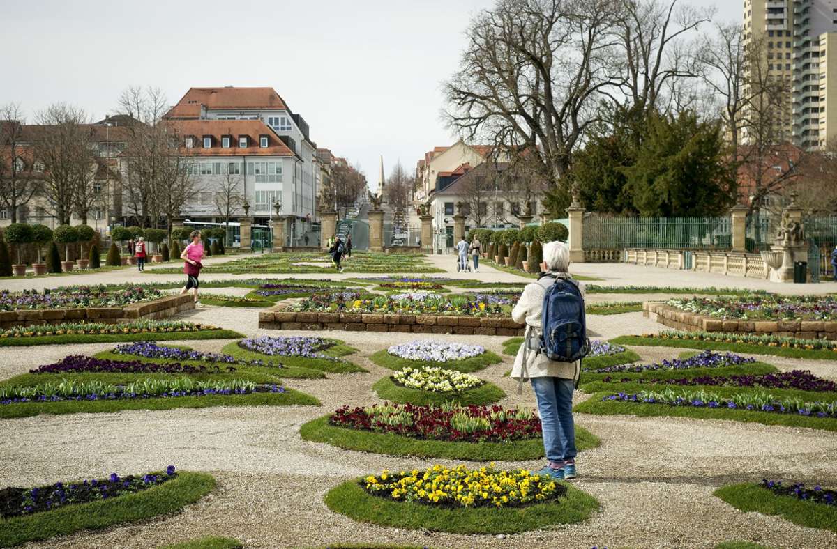 Vor dem Residenzschloss hat das Gärtnerteam 60.000 vorkultivierte Pflanzen angelegt.