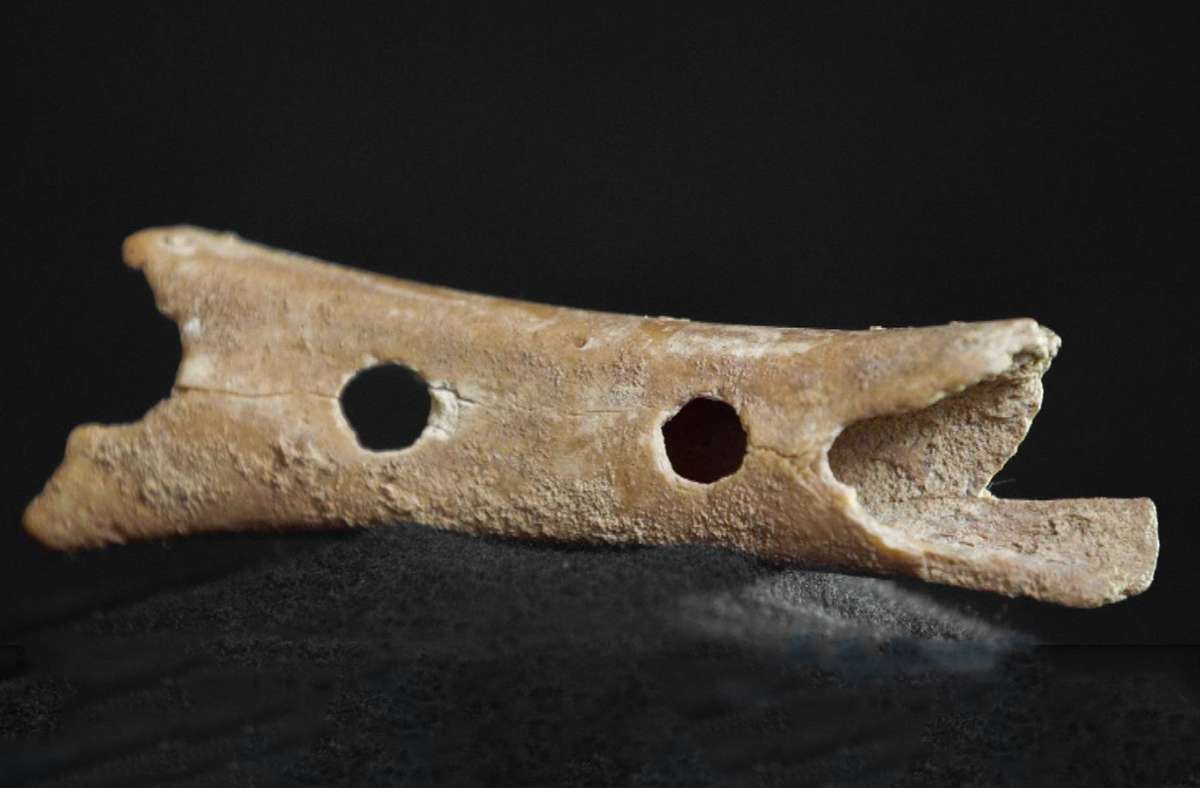 Zu den ältesten bekannten Musikinstrumenten zählen perforierte Tierknochen, die als Flöten dienten.