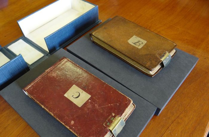 Vermisste Notizbücher von Charles Darwin nach 20 Jahren wieder da