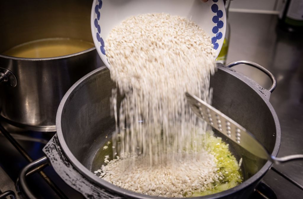 Dann den Risotto-Reis dazu geben und braten, bis die Körner glasig sind.