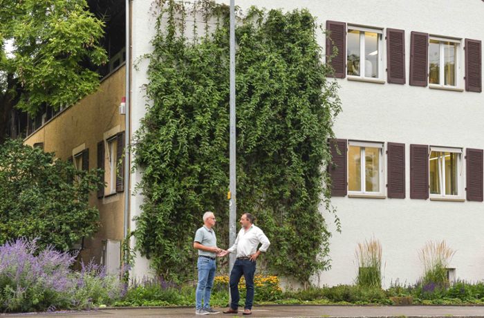 Häuser in Stuttgart: Fassade begrünen ohne Risiko – Experten geben Tipps