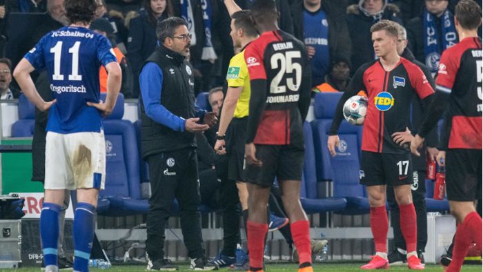 Schalke-Trainer zu Rassismus-Vorfällen: „Dann kicken wir nicht weiter“