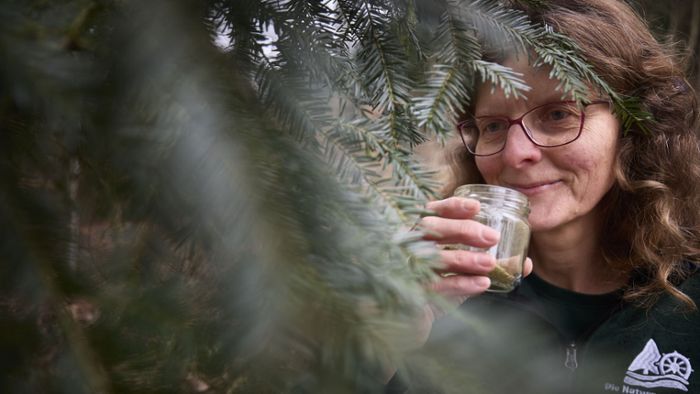 Tour mit einer Naturparkführerin: In Auenwald finden sich auch im Winter essbare  Wildpflanzen
