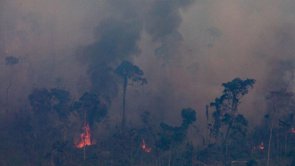 Feuer im Amazonasgebiet: Die Bilder von den Bränden sind schrecklich – manche aber fake