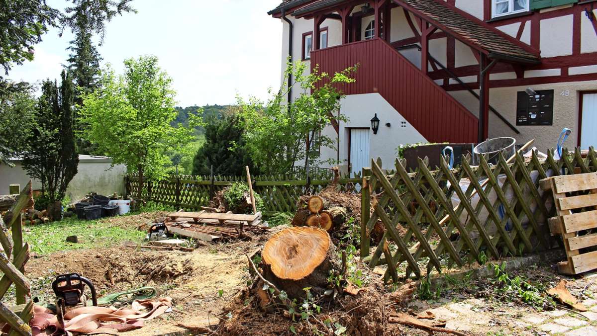 Regeln in Stuttgart: Wann ein Baum gefällt werden darf