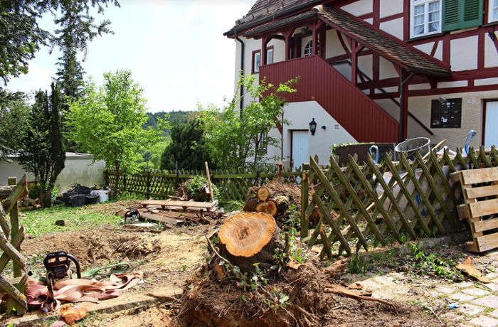 Regeln in Stuttgart: Wann ein Baum gefällt werden darf