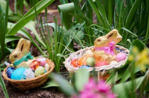 Am Ostersonntag geht’s auf Eiersuche