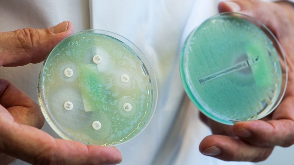 Gesundheit und Antibiotika: Gefährliche  Wissenslücken bei Antibiotika