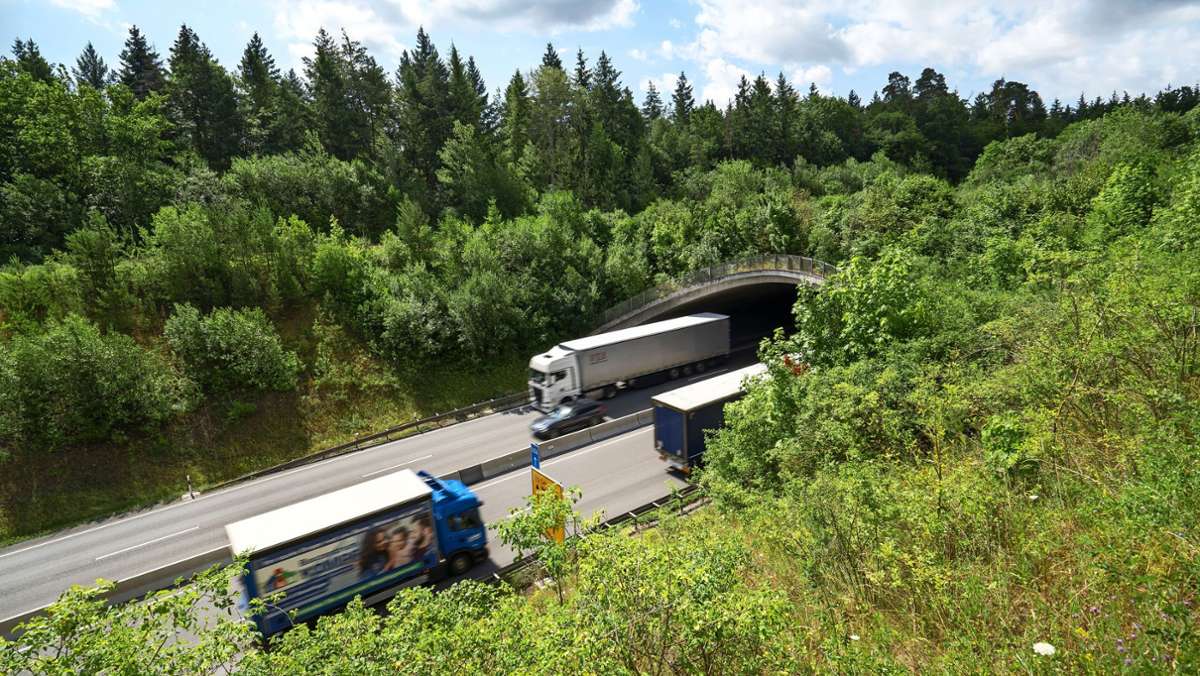 Grünbrücke bei Renningen: Die Brücke über die B 295 wird offen bleiben