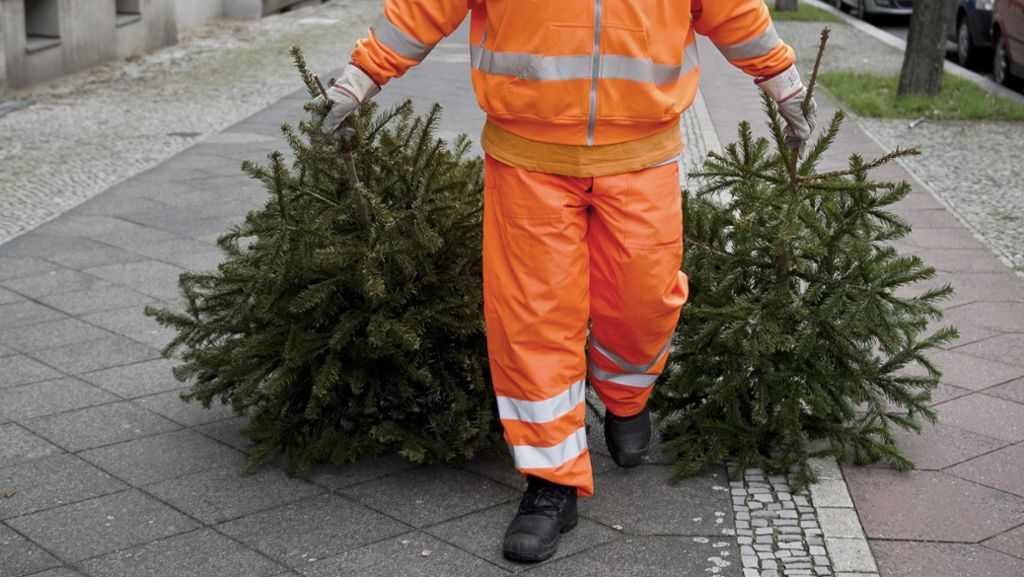 Sammelstellen in Stuttgart: So entsorgen Sie Ihren Weihnachtsbaum